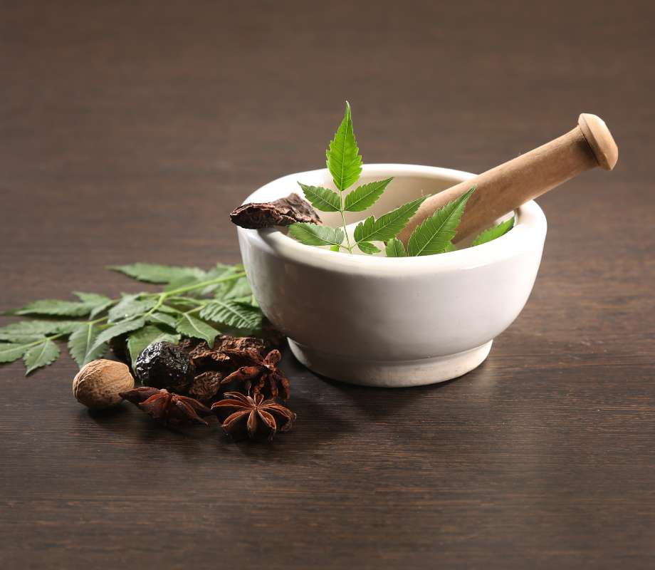 Cycle 2 - Prāṇa : la symphonie des souffles intérieurs